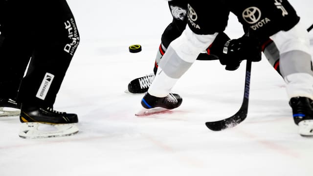 people playing ice hockey