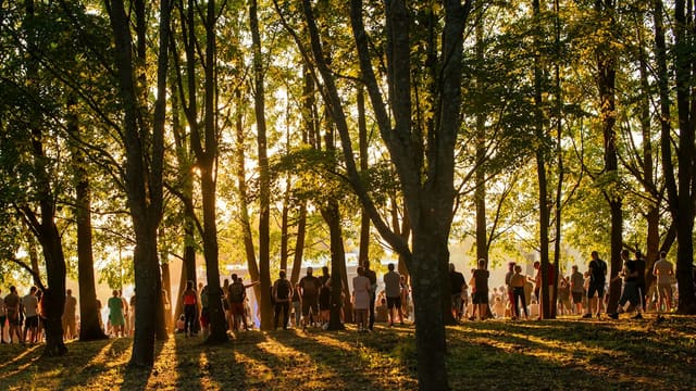Silhouetted figures gather in a sun-dappled forest clearing