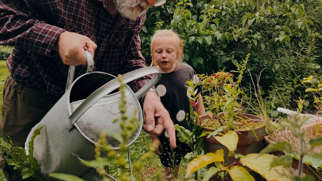 a man and a child looking at a plant