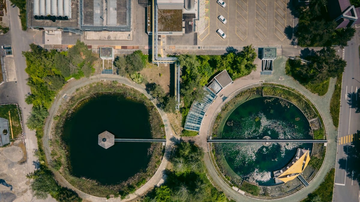 aerial view of green trees and brown buildings during daytime